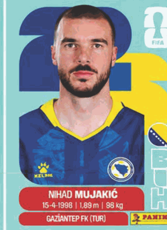 BIH 6