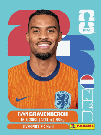 NED 11