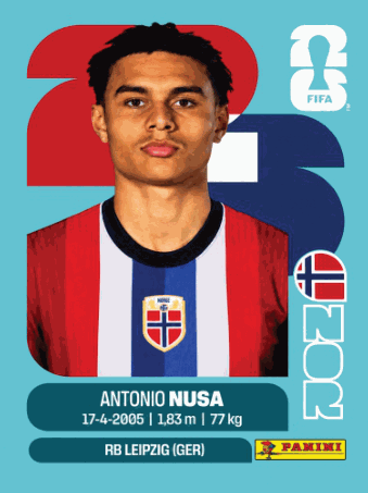 NOR 19