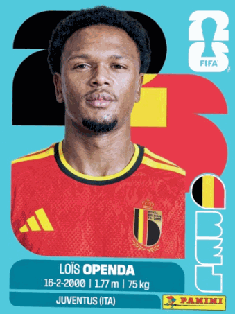 BEL 19