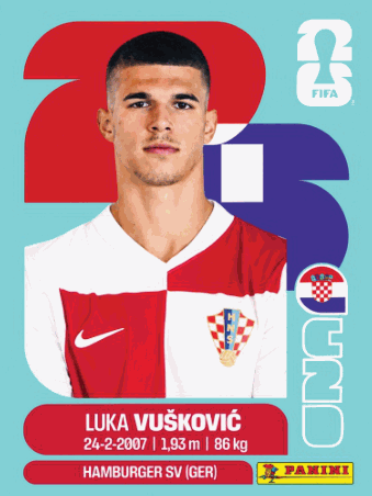 CRO 6