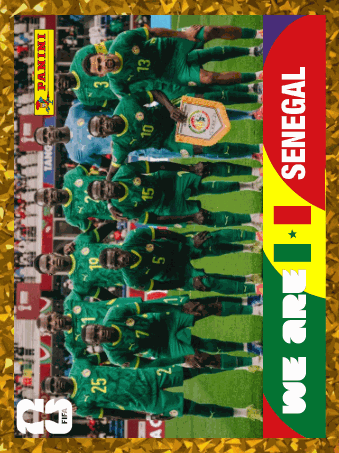 SEN 13