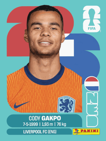 NED 20