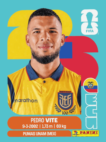ECU 12