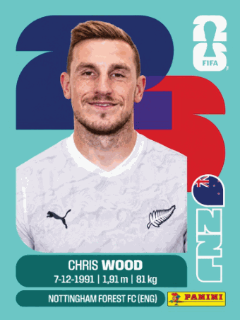 NZL 17