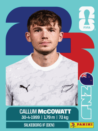 NZL 19