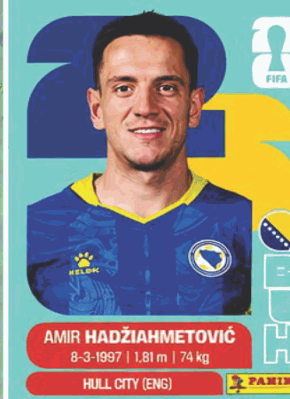 BIH 8