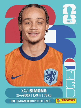 NED 15