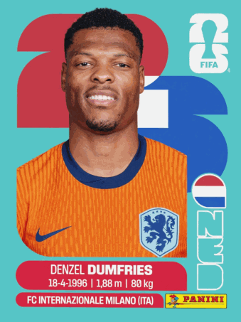 NED 6
