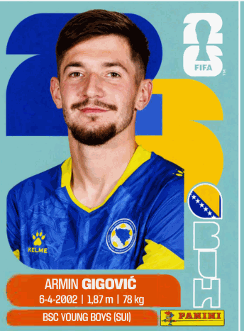 BIH 10