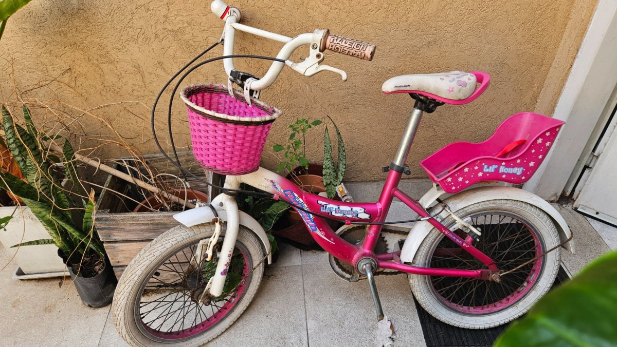 Bici  raleigh rodado 16 niña