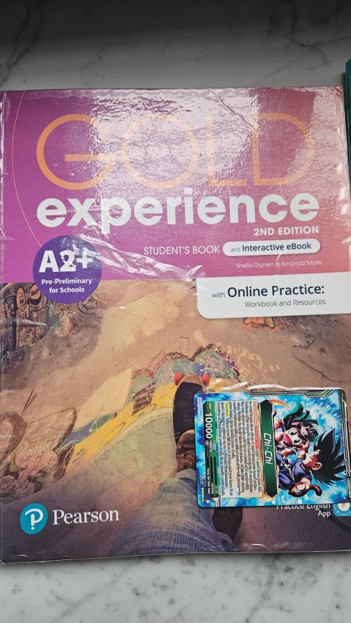 Libro inglés Gold experience