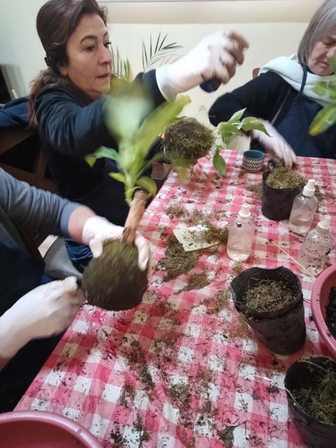 Kokedamas  y talleres