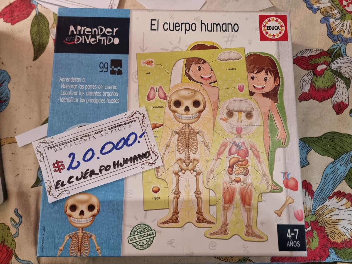 JUEGO "EL CUERPO HUMANO" - Aprender es divertido