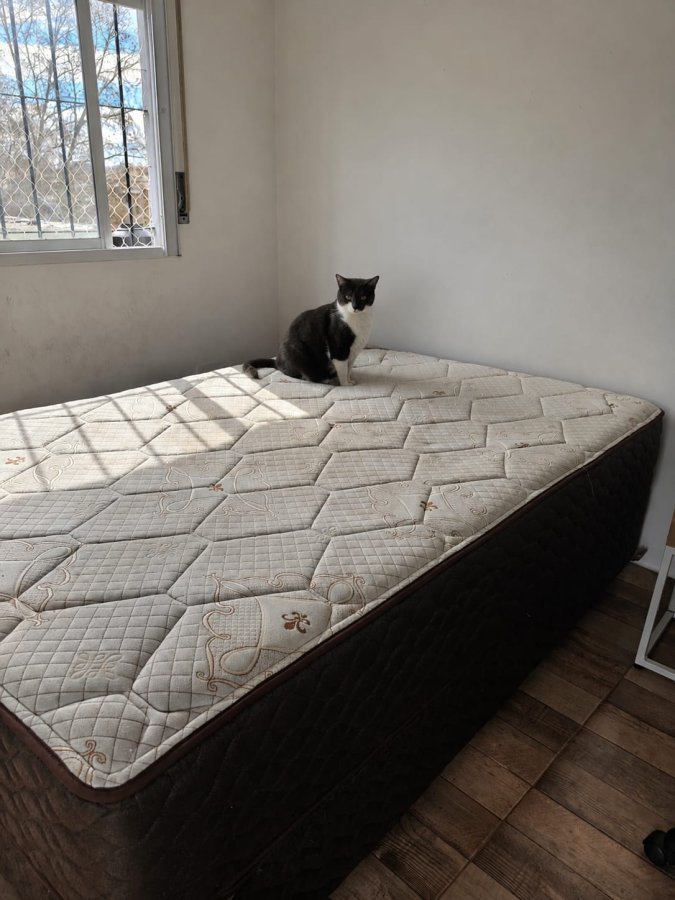 Sommier Springwall Bl700 1.30 x 1.90, foto 2 de 2