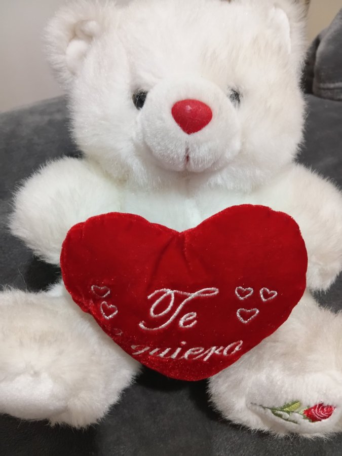 Oso de peluche